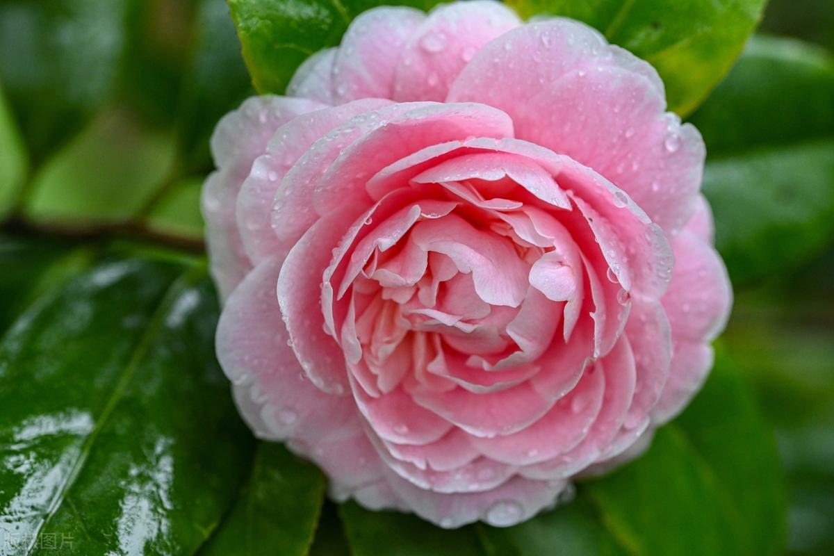 人活着谁都不完美，做事情谁都不周全，与人相处，相互尊重，彼此善待，凡事留点余地，