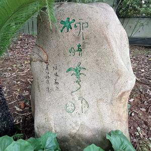 稽山中人