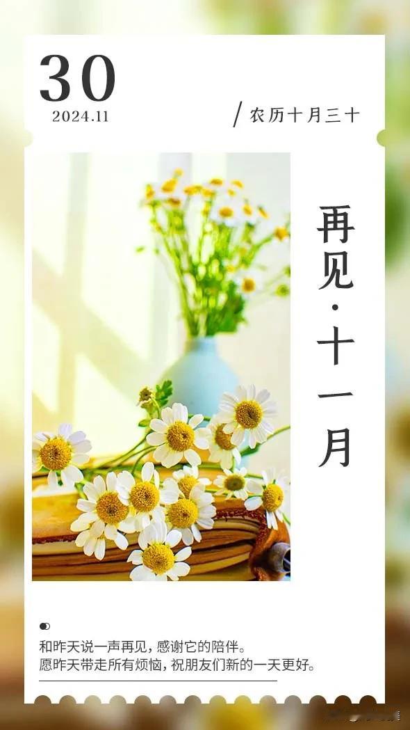 人生最好的状态不过是边走边感悟，一边遗憾又一边收获，苦乐参半，一半明媚，一半忧伤