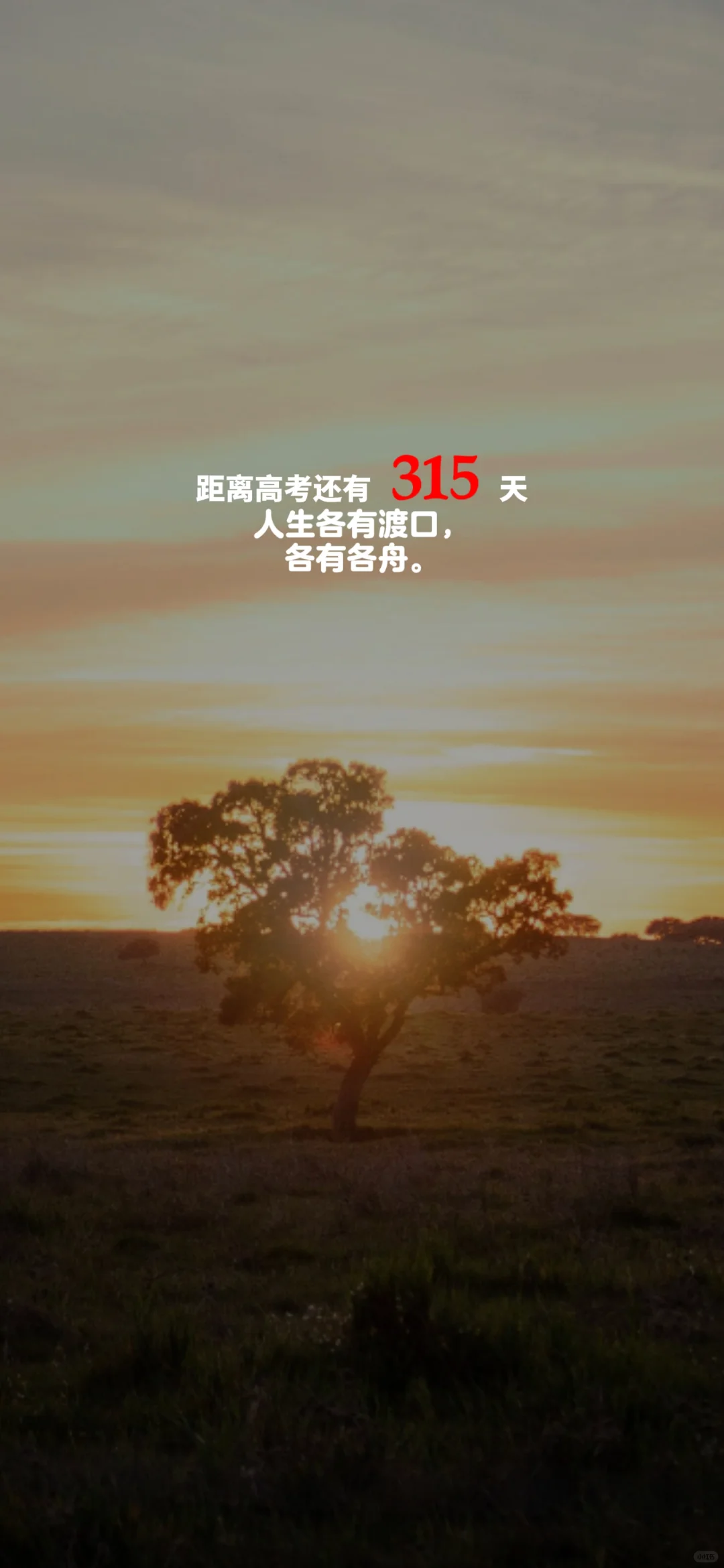 2025高考倒计时，每日更新。