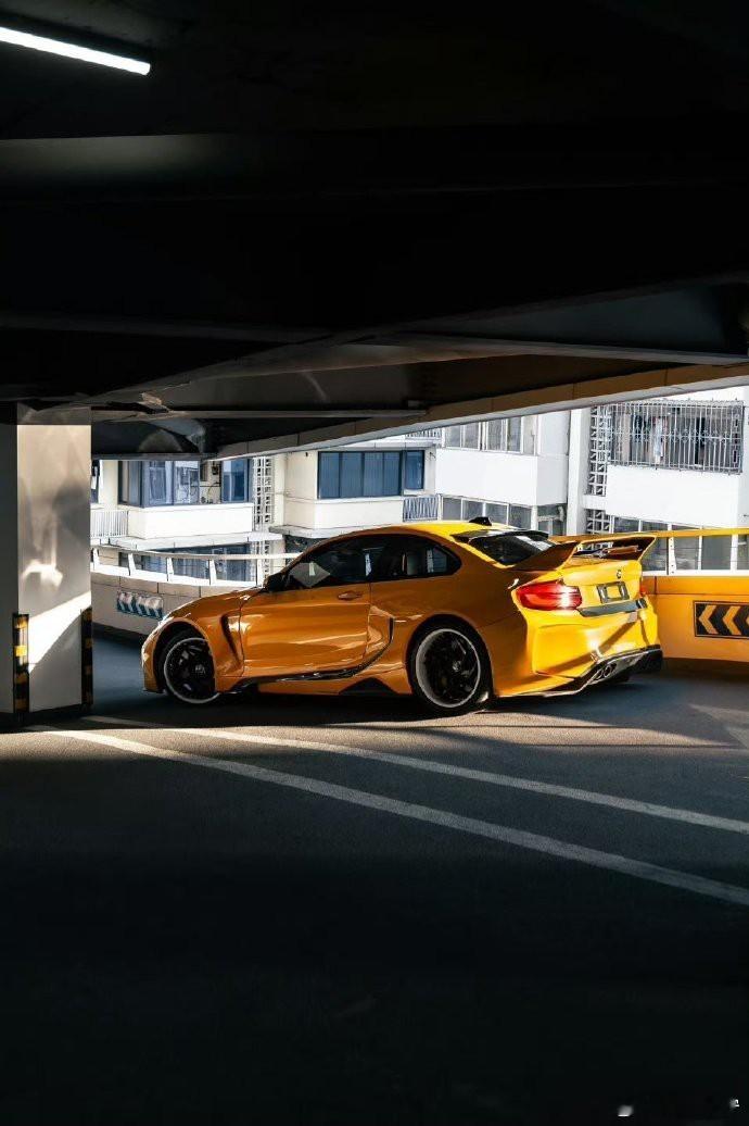 在日落的余晖下，达尔文宽体宝马M2C以其卓越性能与独特美学，捕捉了光影交错间的氛