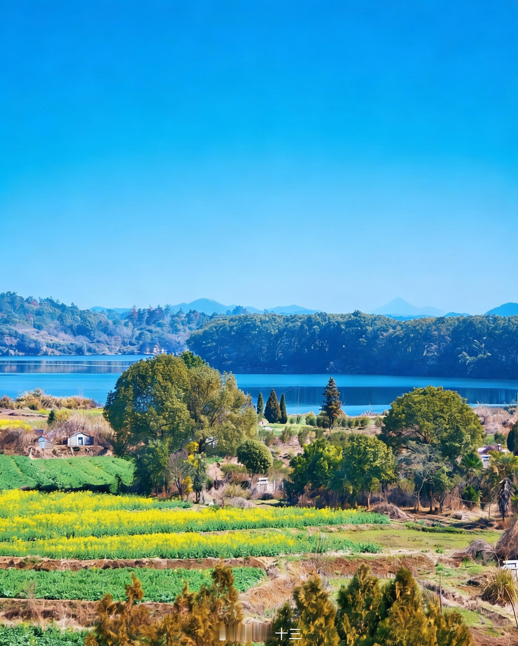 i人的过年现状 小马哥在用的减肥方法记录一下，16:8间歇性断食（Time-Re