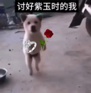 闺女平常拍视频就是格子衫黑色圆领t 一到重要场合就给老公们骚波大的，小挑染搞起来