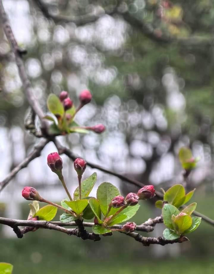 3月的第一天，又是一个雨天。自从春节假期之后，杭州不是在下雨，就是在下雨的路上。