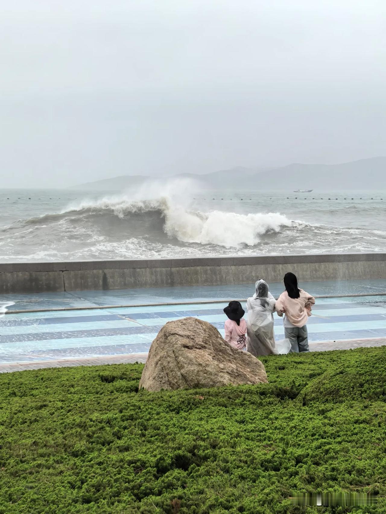 今年台风多、气候变化大
1. 全球变暖导致海洋“能量过剩”
这是最根本的原因。随