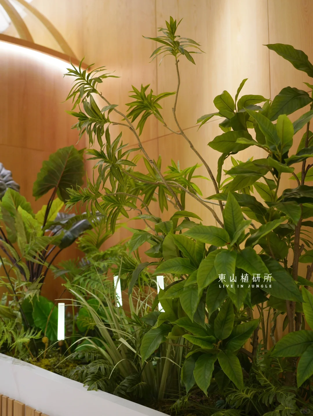 植物造景|仿真绿植布置 室内造景