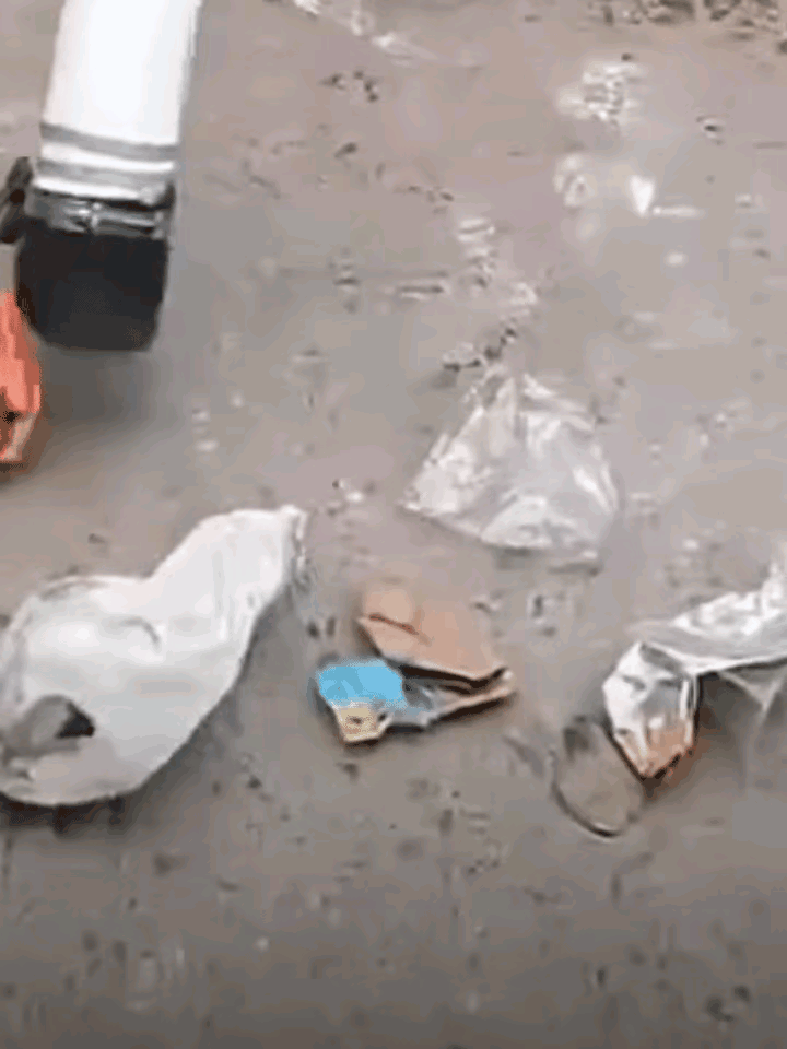 印度环卫工人都配置了神器，看起来不就是个大型的吸尘器吗？这速度少一条街，估计都天