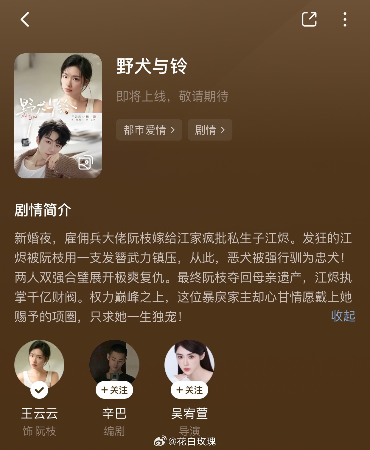 王云云 杨泽《野犬与铃》开启预约了 