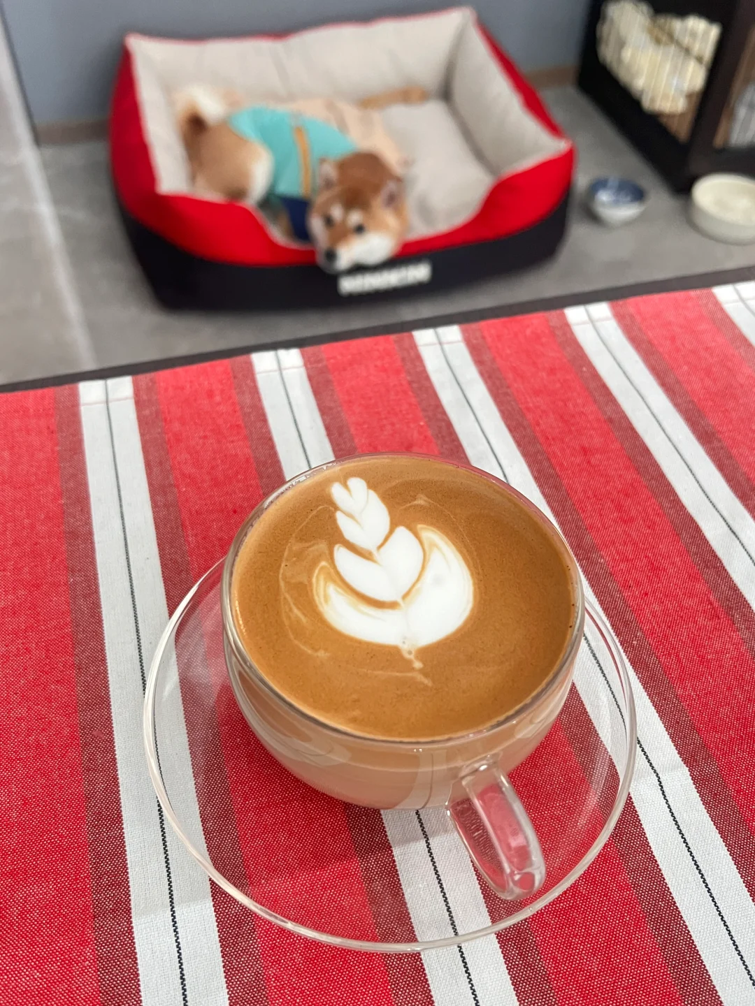 🌷🌱一些周末日常☕🐕