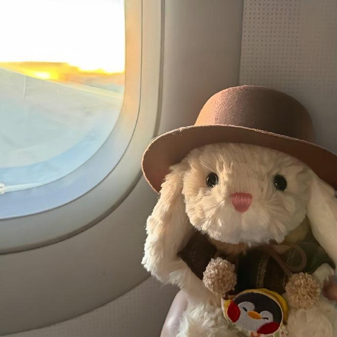 向海风许愿，在山海相见。 