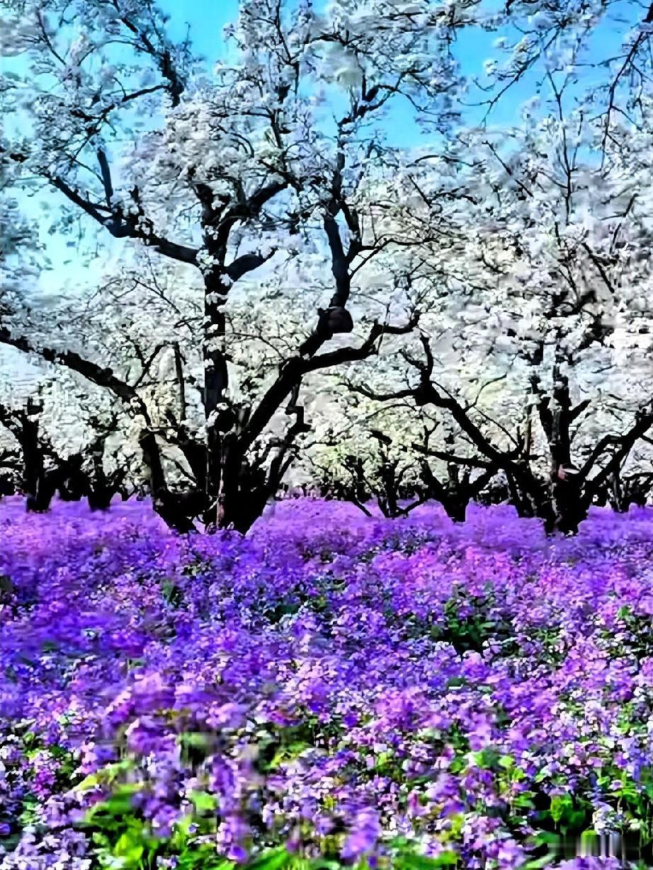 人这一辈子挺有意思。
有人喜欢修内，有人偏向于修外。
有人偏爱精神生活，有人更注