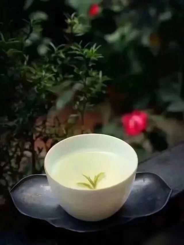 一位养生专家说：“极度自律，每天锻炼的人，大多不能长寿，但是极度自私，不为任何人
