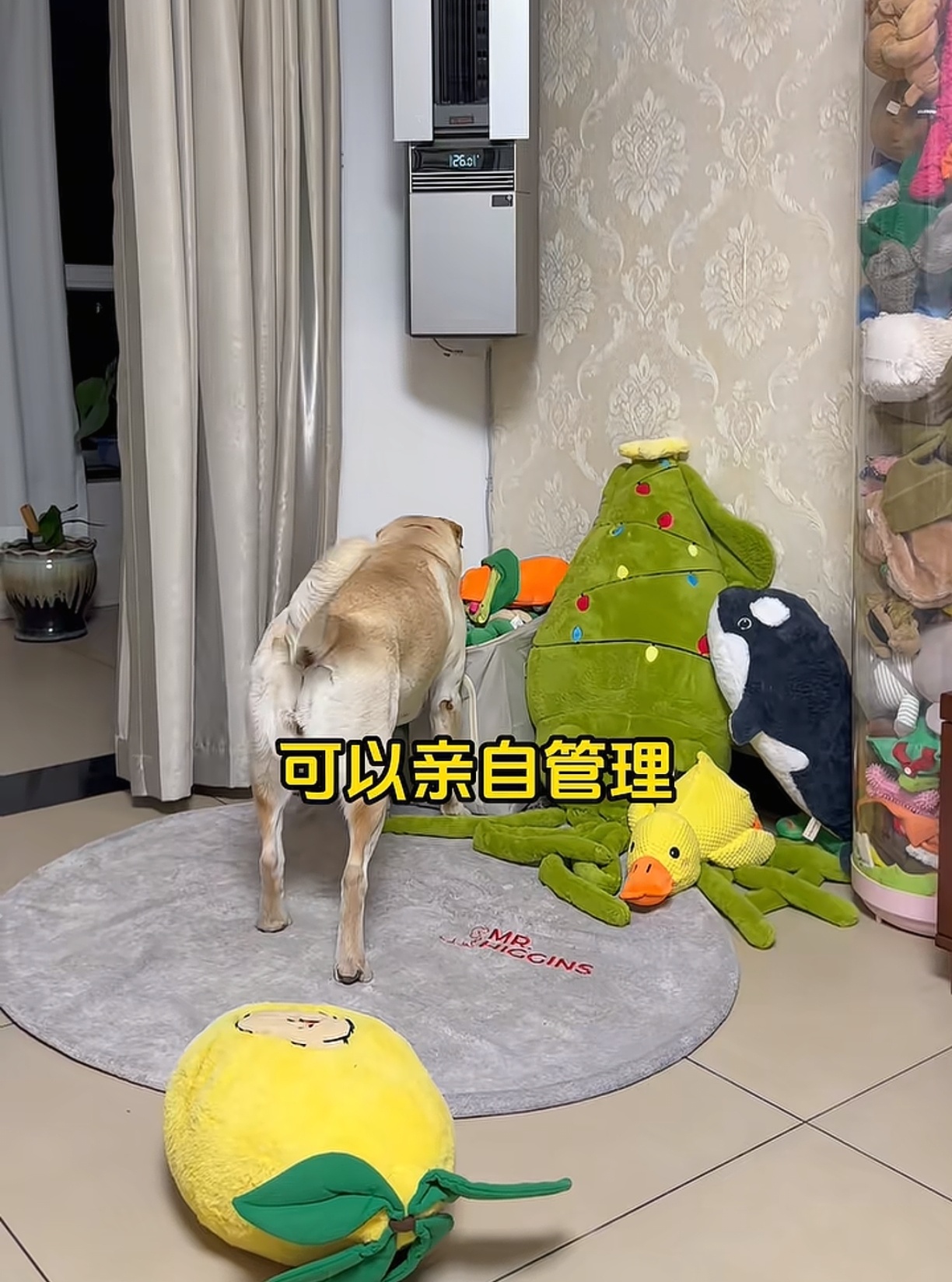 可以亲自管理我的所有家产？！ 