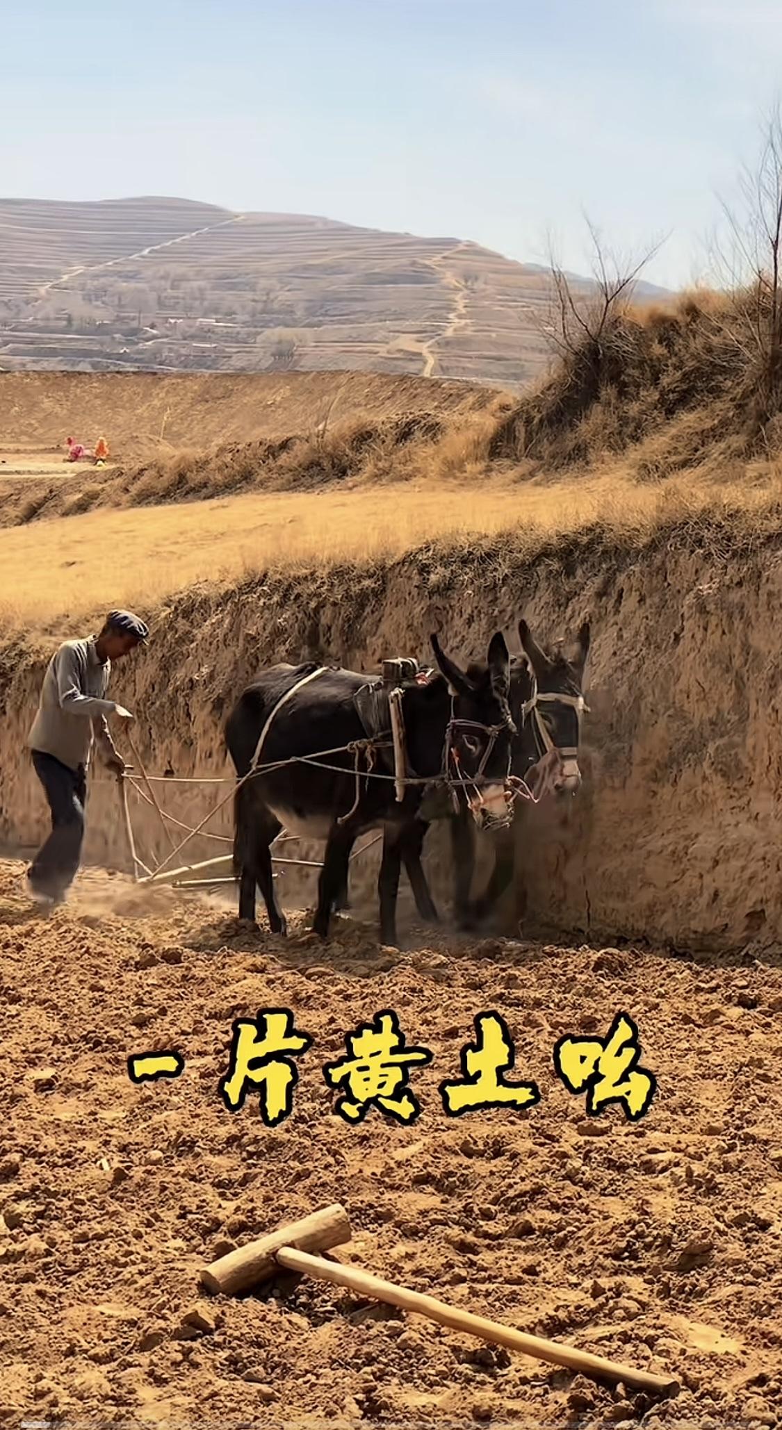 张雪峰有一句话说的特别好：
小学淘汰的是不读书的孩子；
初中淘汰的是不努力的孩子