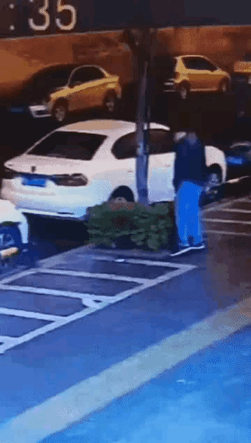 树兄弟，不好意思哈！