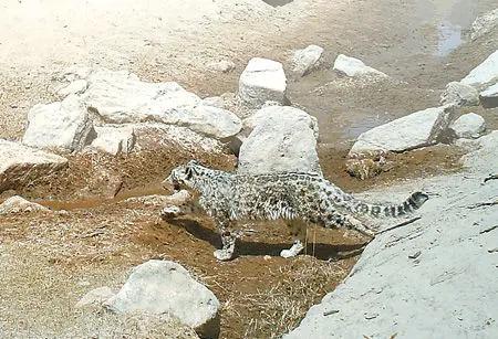 我直接给你成品爆款文案，不用你再改，直接能发抖音、小红书、公众号，语气吸睛、有热