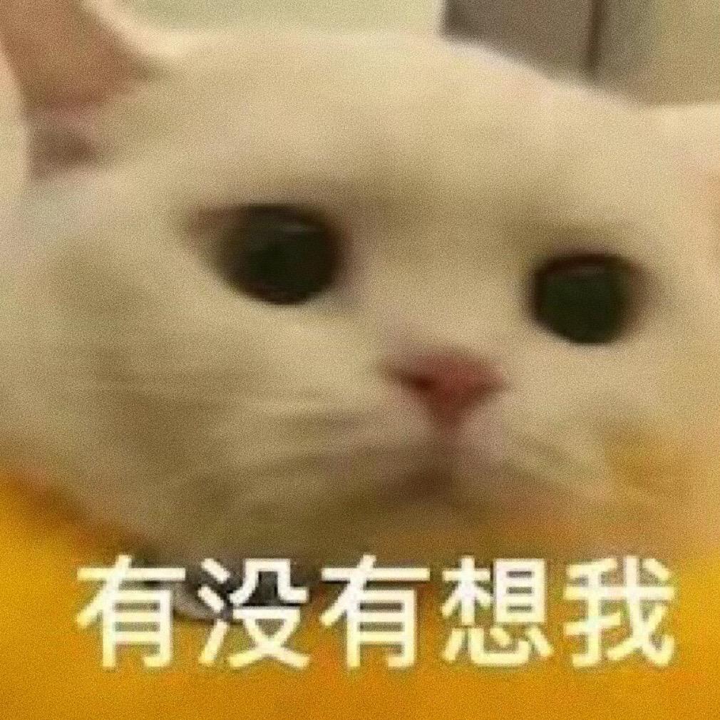 你老实告诉我，有没有想我！趣味表情包 创作灵感