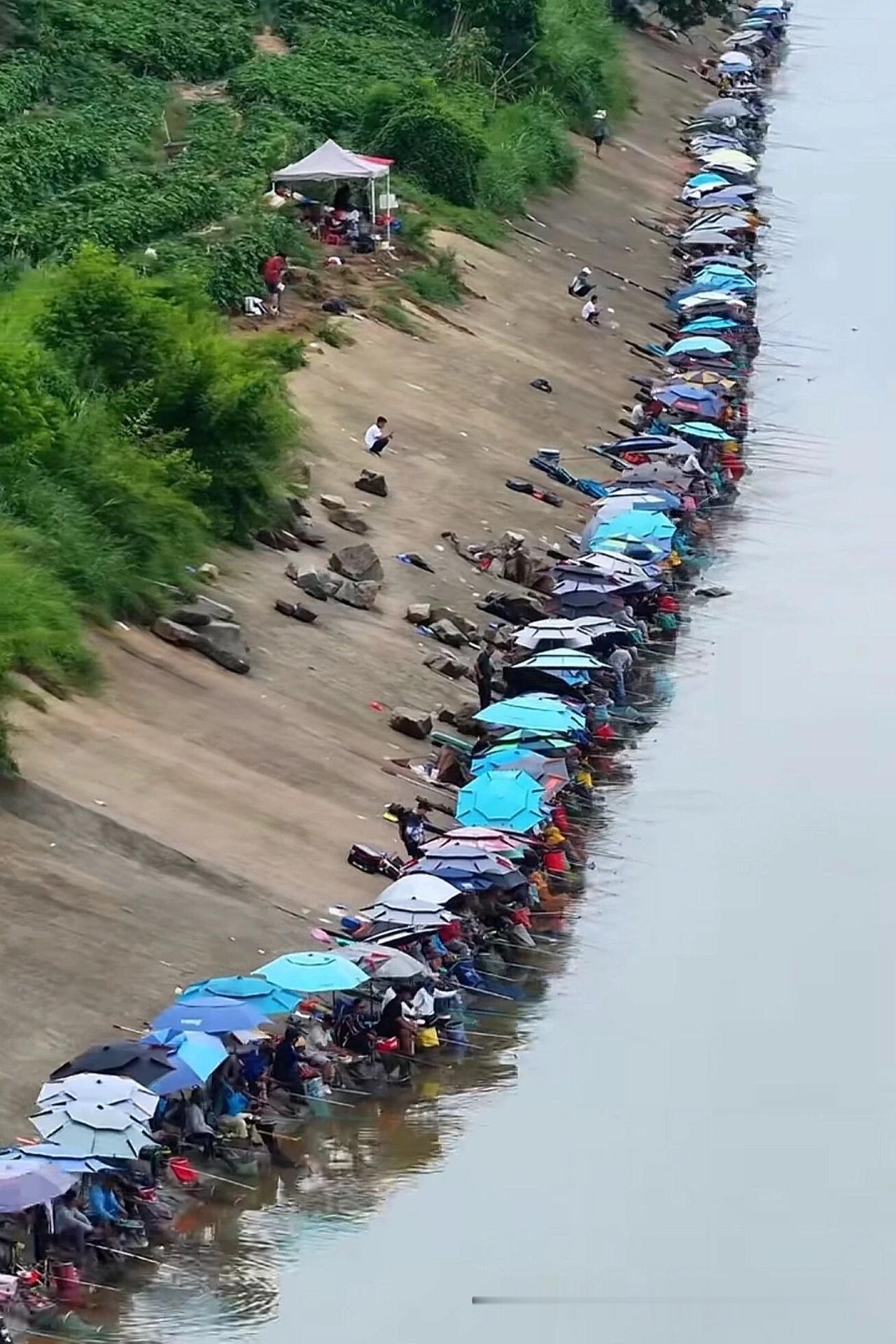 这条河相当于鱼的小吃一条街这钓鱼🎣阵仗是真壮观[捂脸]