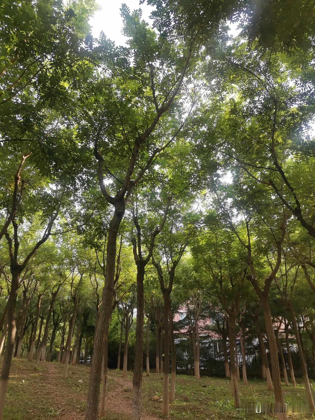 看到头条那么多友友说自己的孩子考公考研，考了五六年都没考上。现在想想我都后怕，我