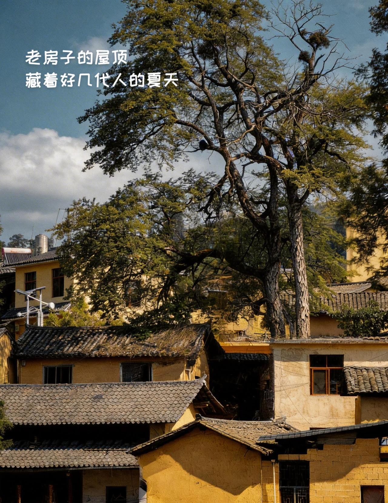 我的图片 随变ai随便玩