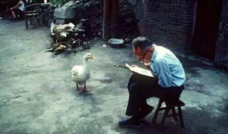 1978年那声发令枪刚响，中国差点自己把自己绊倒。外汇储备不到10亿美元，领导层
