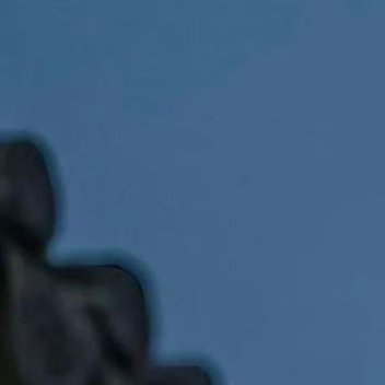 阳光信用 阳光信用每日一善🌷桃李春风一杯酒，江湖夜雨十年灯。——黄庭坚《寄黄几