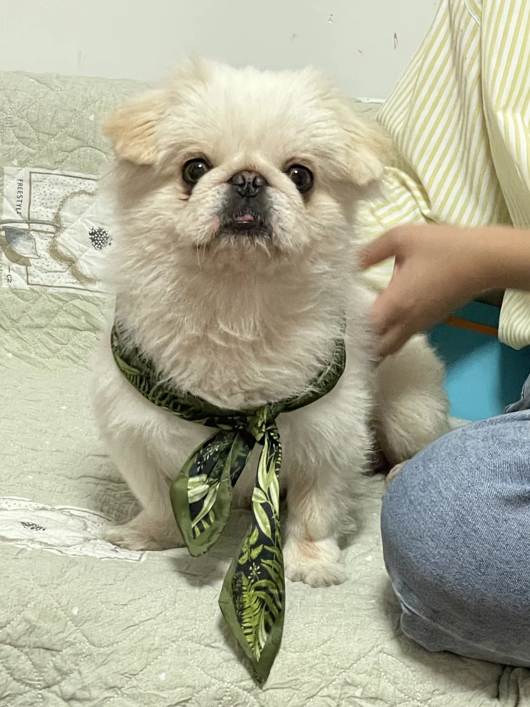 姨姨们 泡打算给自己换个姐姐