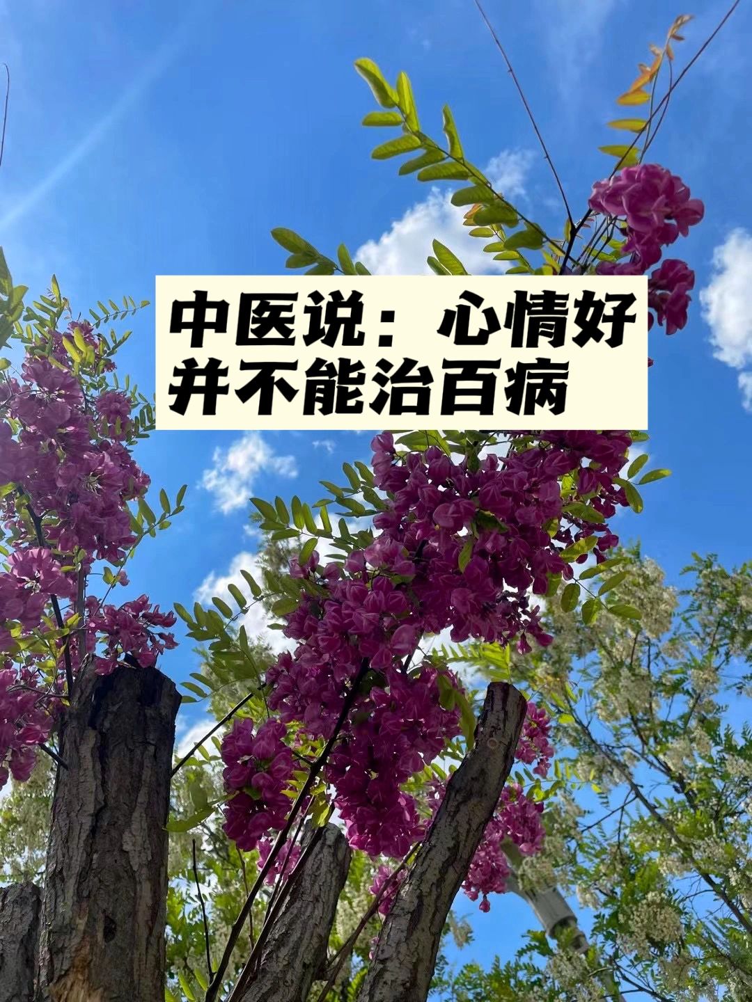 中医说：心情好，并不能治百病.