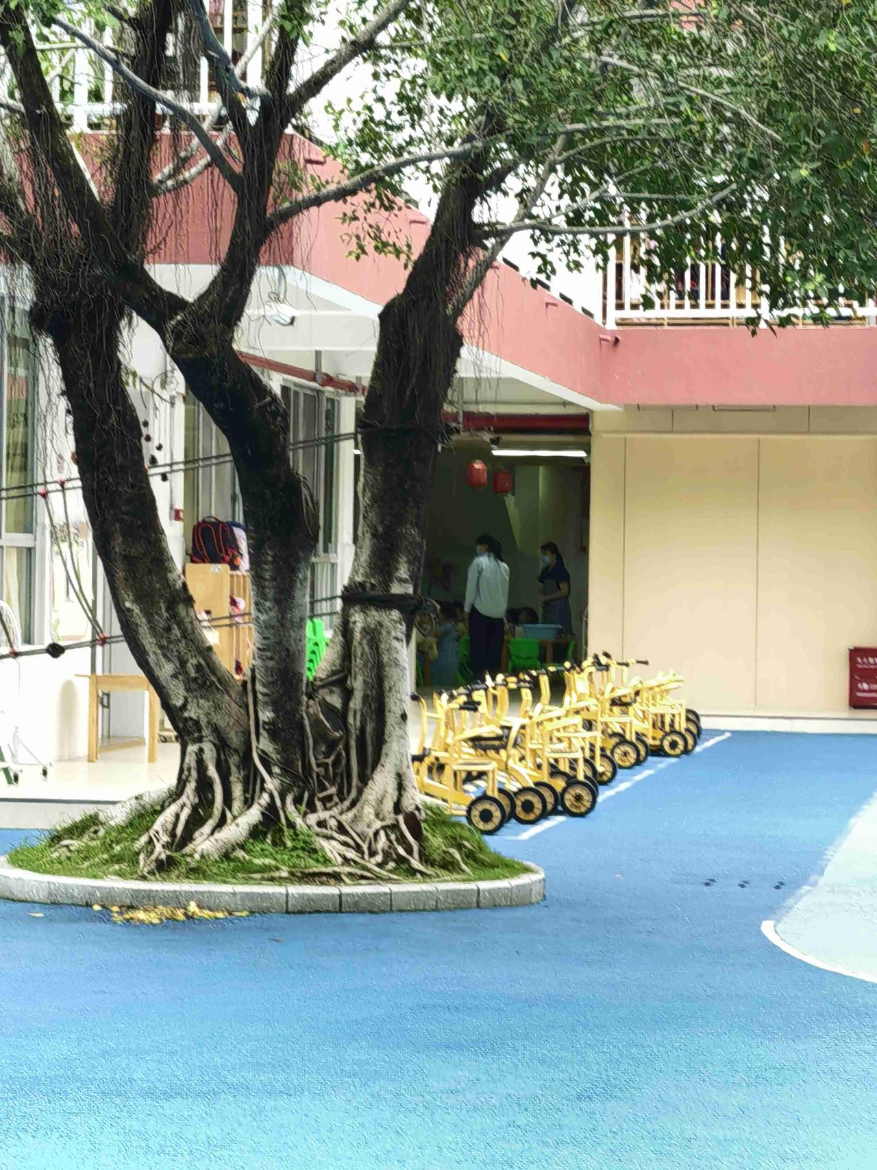今天幼儿园体检，要抽🩸一听说时，就很担心孩子没有爸妈在身边，会害怕会哭。晚上看