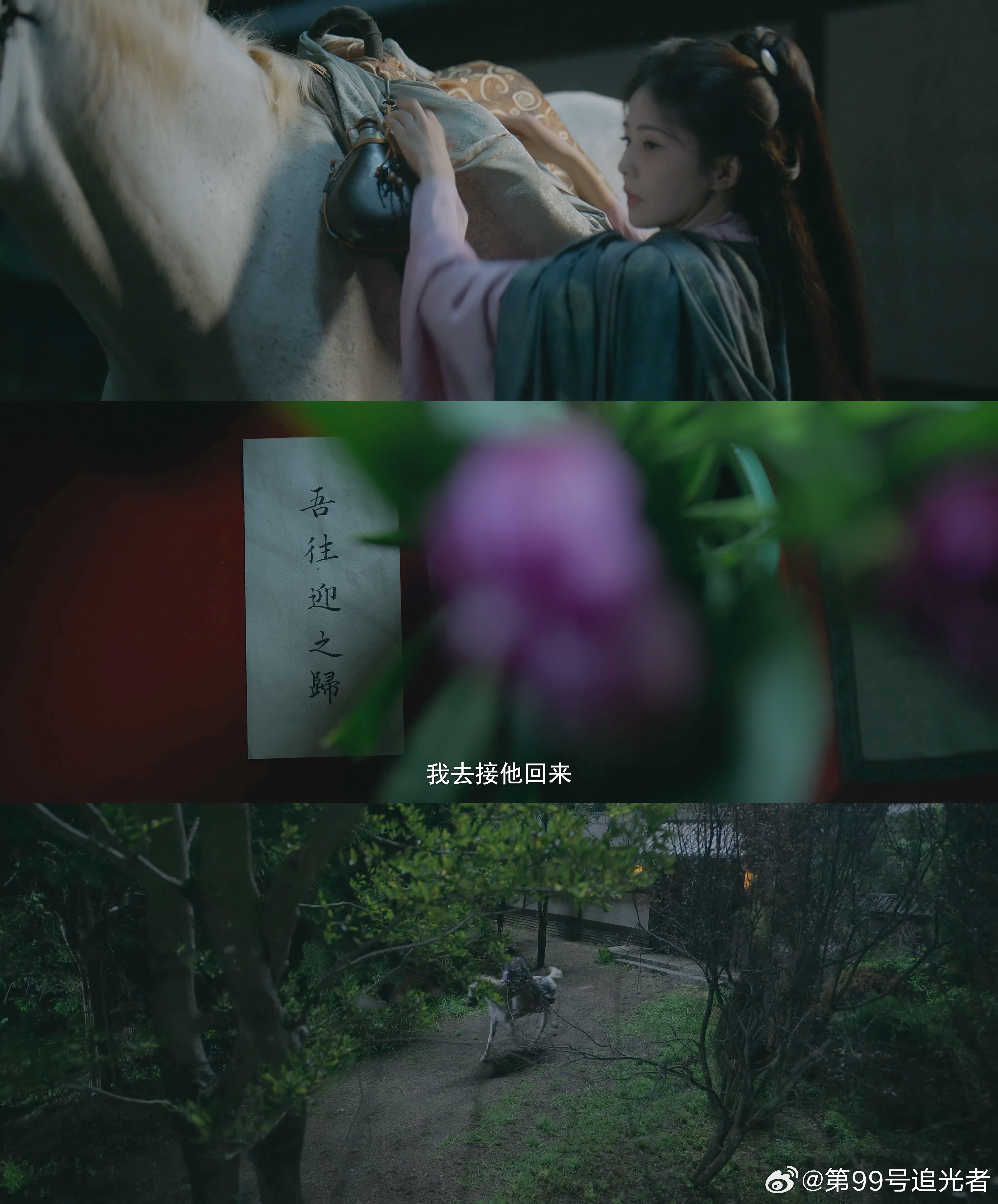 终于等到白鹿骑马正片了还得是白鹿带来的叶璃呀，就这样骑着马奔向自己的爱人，直接惊