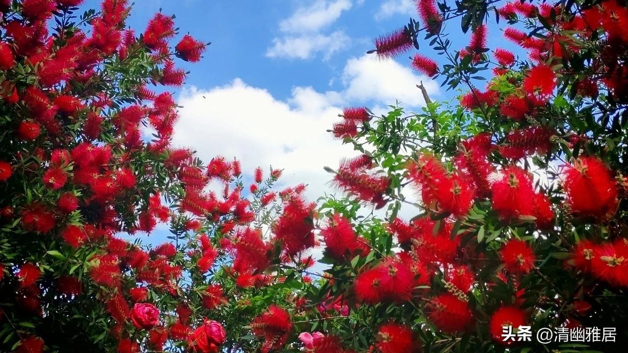 据预报，今天还有雨，只不过不是连片的雨，指不定啥时候、啥地方会下雨。