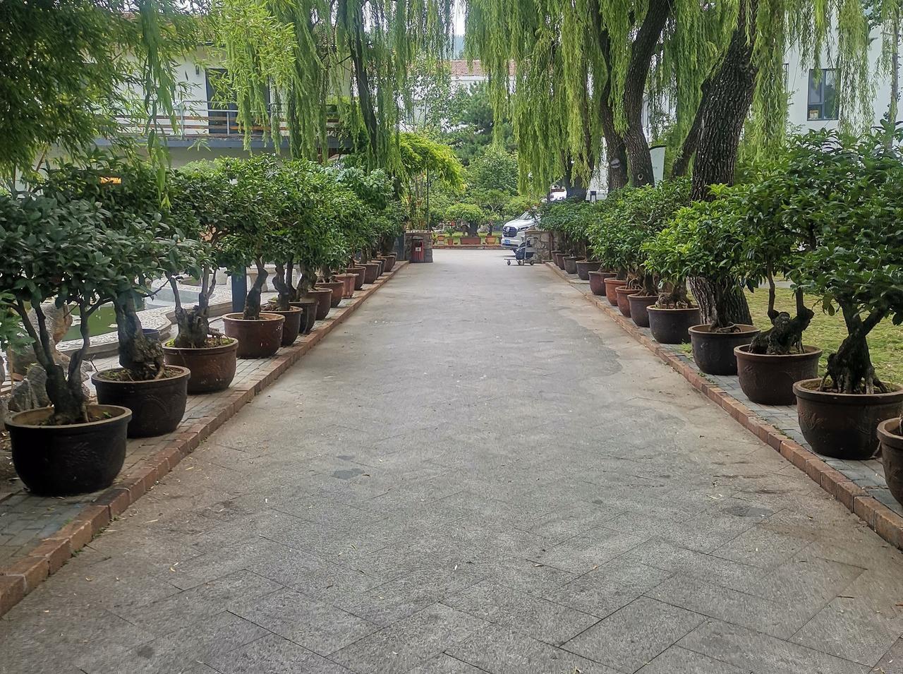 快来看看我新换的主页背景吧