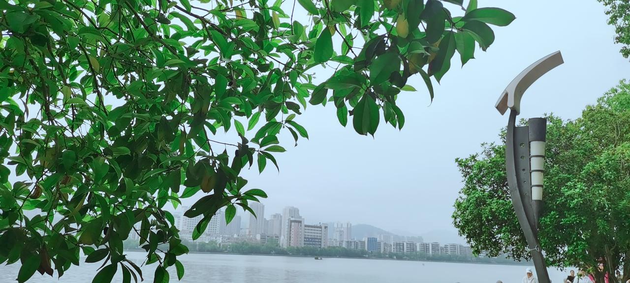 西江月·春景 （珠乡小女）

岸柳轻摇新绿，溪风暗送幽香。

莺啼燕语绕雕梁，一