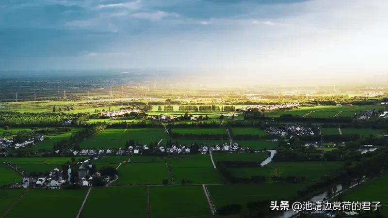 乡村振兴，到底是人才为先，还是产业为先？这就像先有鸡还是先有蛋的问题。
短期来看