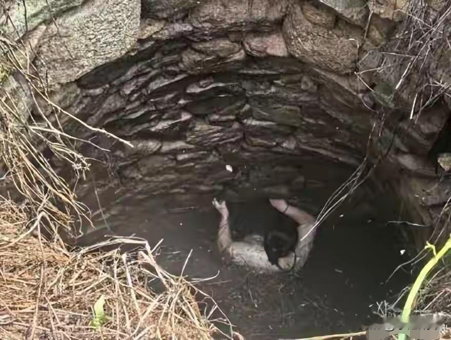 “身上爬满蛇”

近日，泉州一名48岁的女子谭女士（化名）在13日上午出去野外散