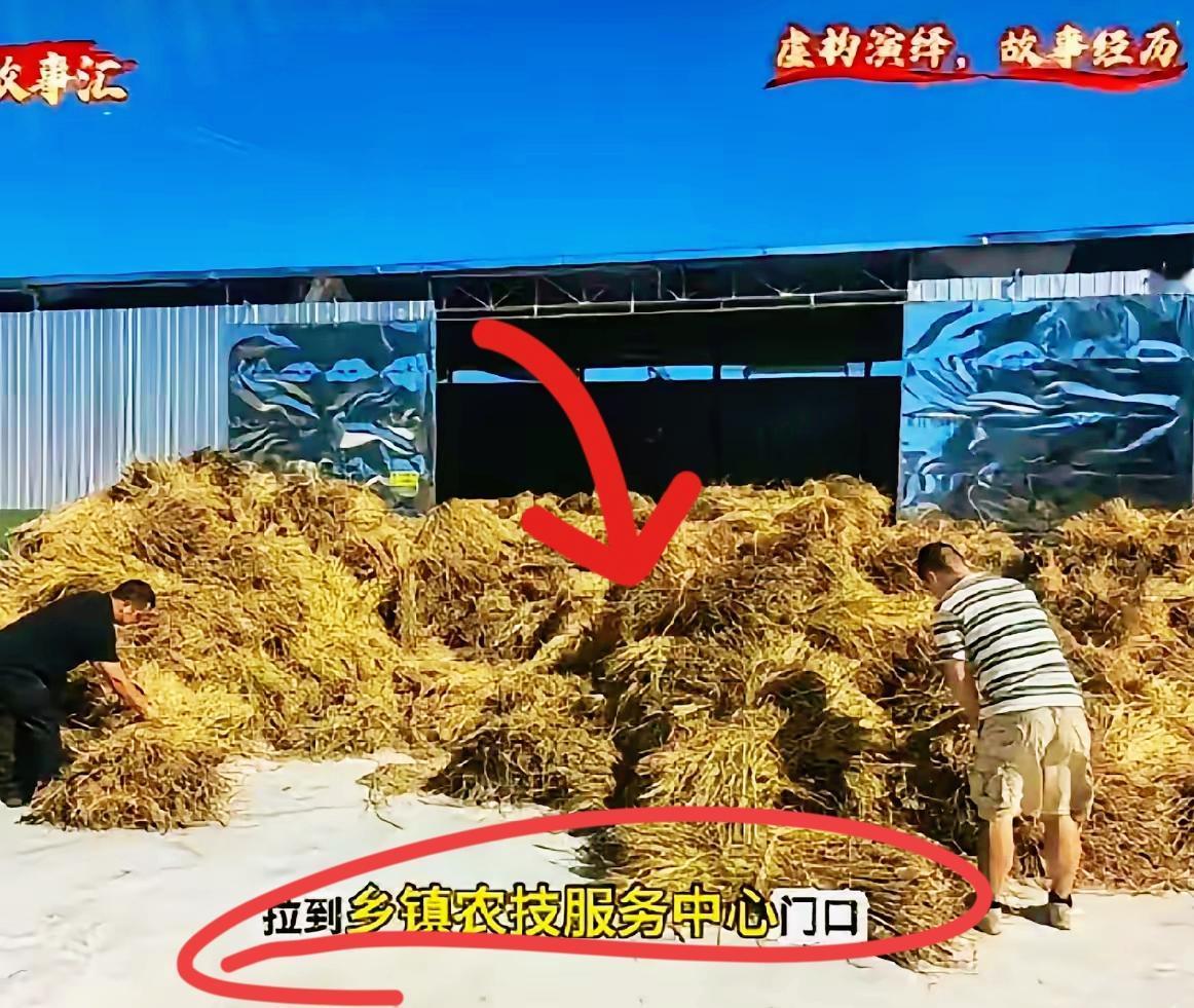 哈哈哈…这事儿看得人哭笑不得！
​65亩地的水稻秸秆，不让烧，农民干脆一车车拉到