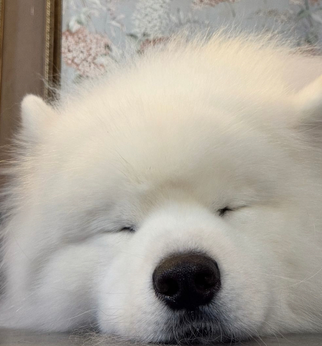 晚安耶 ​​​