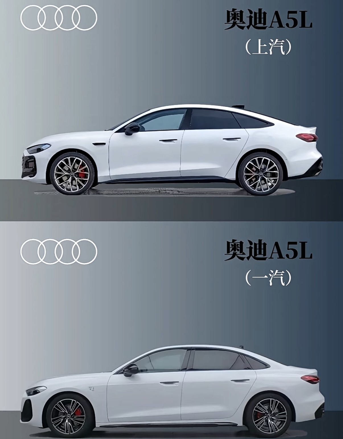 溜背是大杀器 ​​​