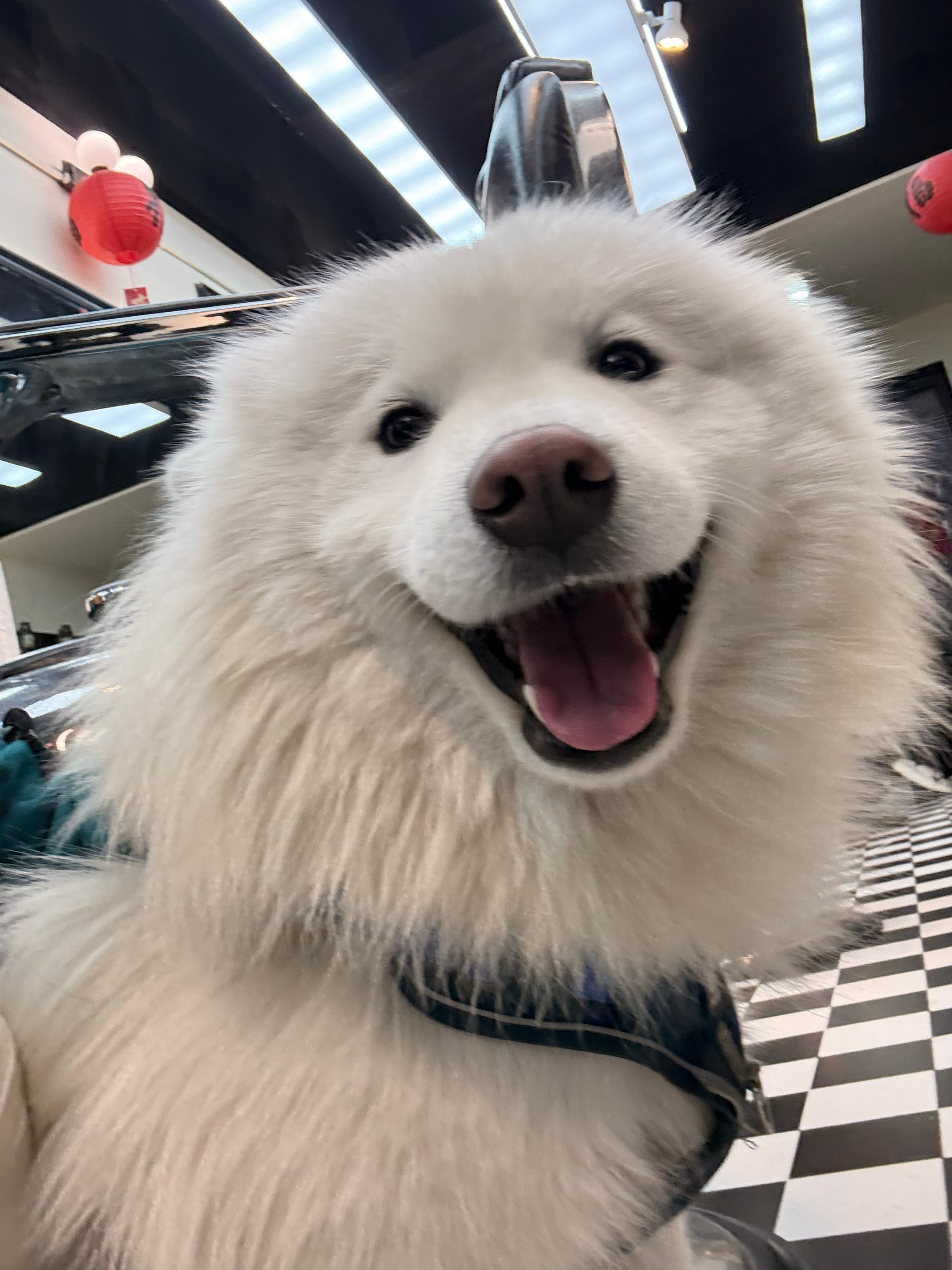 看到耶耶就想起我的baby 