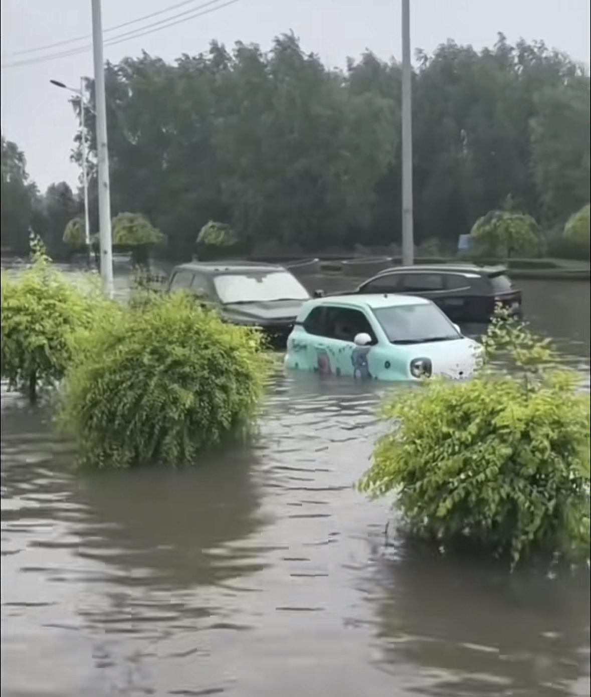 笑死，一个剁椒鱼头涉水趴窝动不了，一筹莫展之际，福特猛禽大哥闪亮登场！推着小鱼头