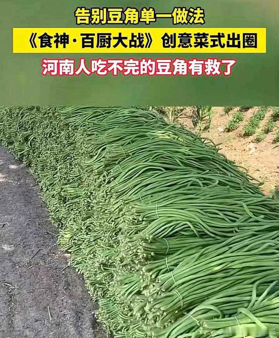 当生活没有勾心只有豆角☀️人间繁杂勾心都抛在身后，架上垂着满满豆角，三餐烟火纯粹
