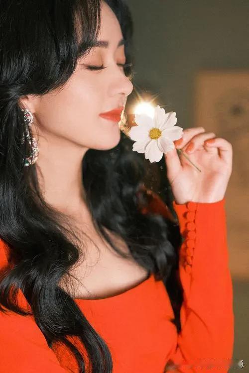 惊！2025 娱乐圈：明星新动态与背后隐秘大揭秘

2025 年 12 月，娱乐