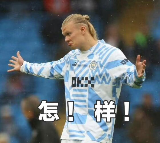 哈兰德夺冠100吨狂送 在认识哈兰德之前，我就已经被他表情包洗脑。在世界杯开始之