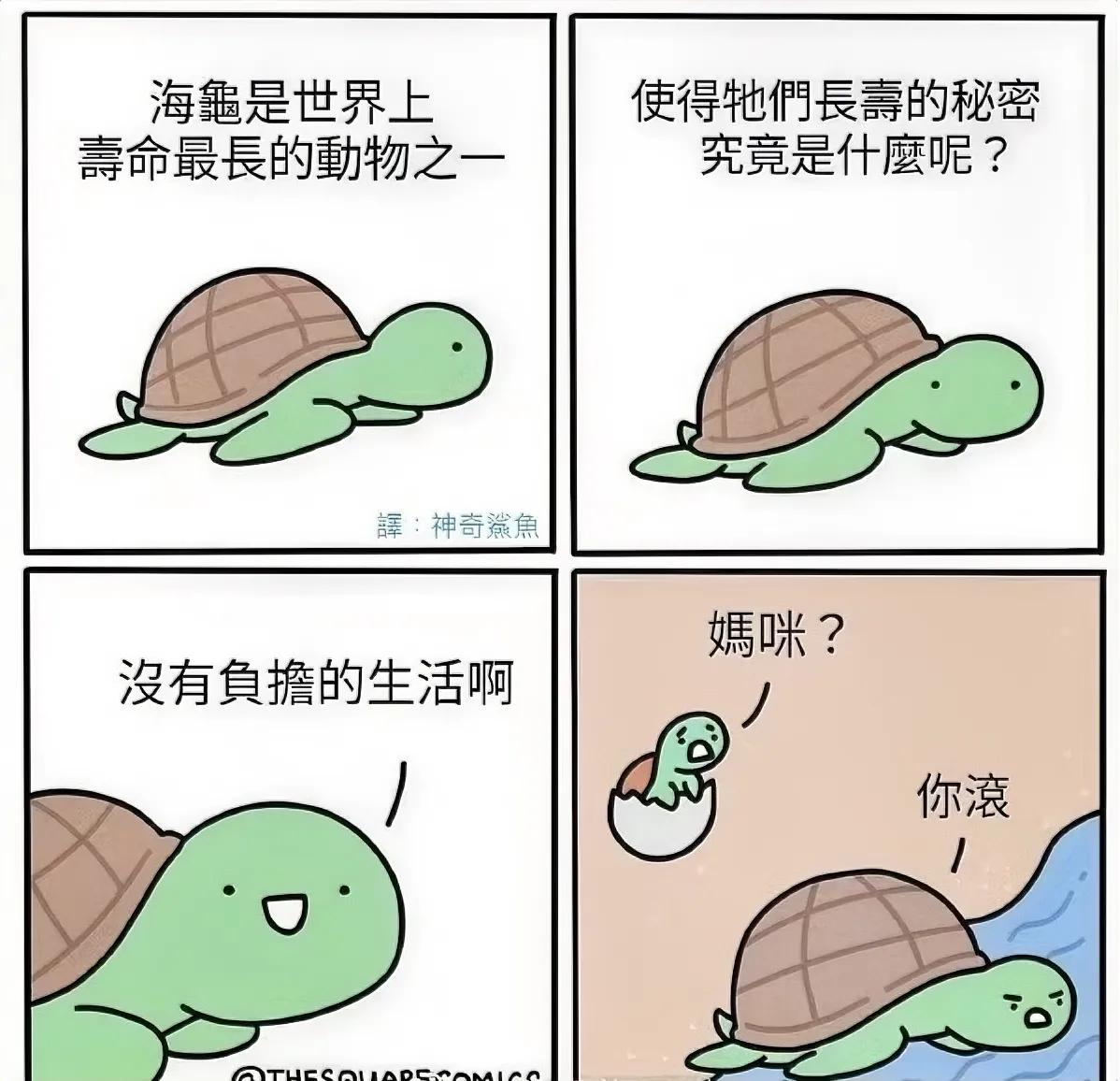 长寿的秘密