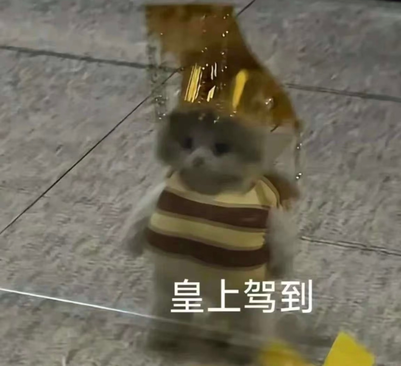 分享图片 