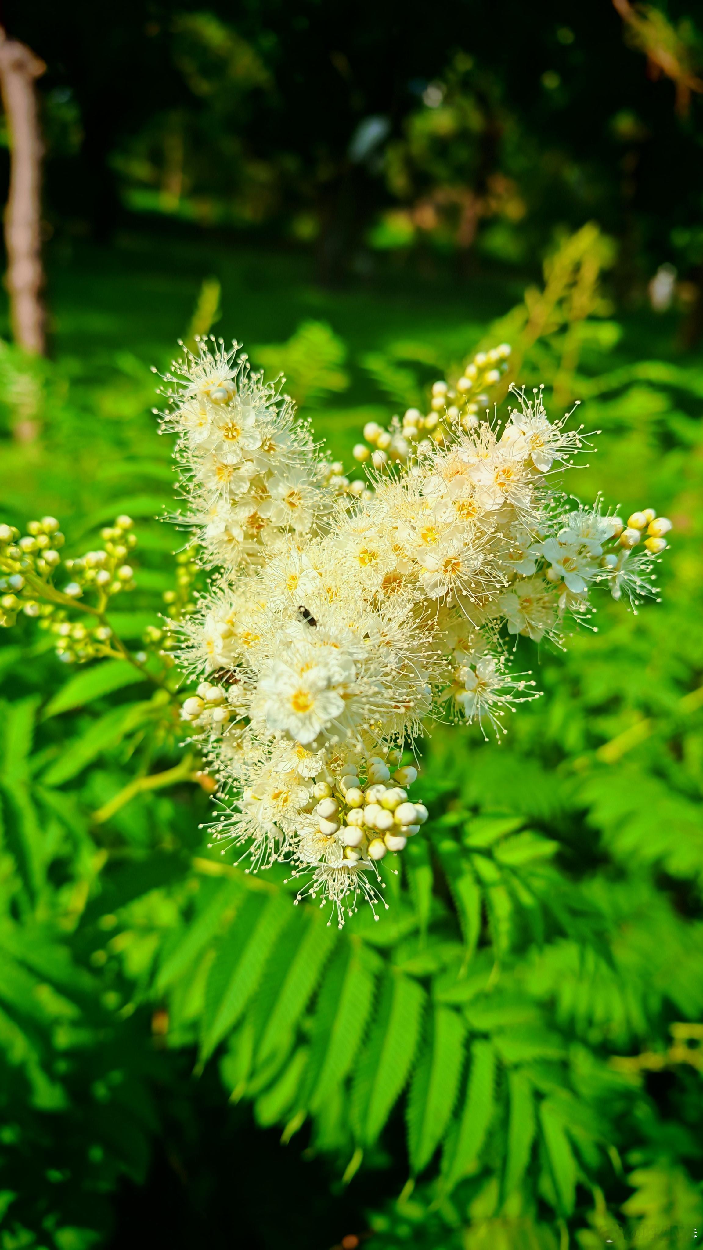 我怕我忘了再见六月 仿佛六一儿童节就是昨天的事，一转眼，还有半小时，就要迎来七一