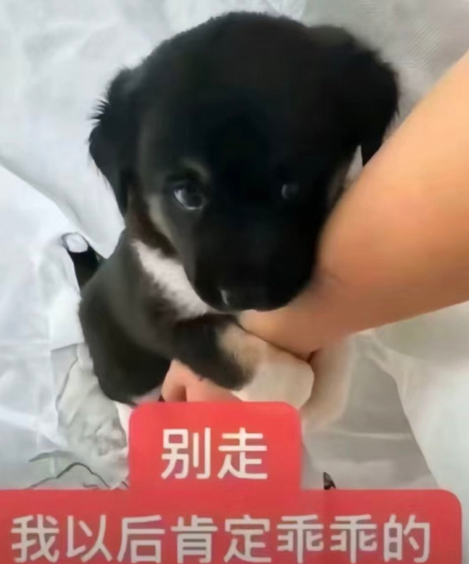 等我乱发完脾气发现其实是自己的问题后： ​​​