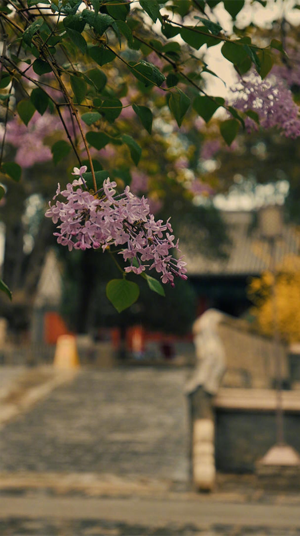 戒躁，别轻易发脾气；戒卑，别认为处处不及旁人；戒傲，别总是自鸣得意；戒妒，别妒忌