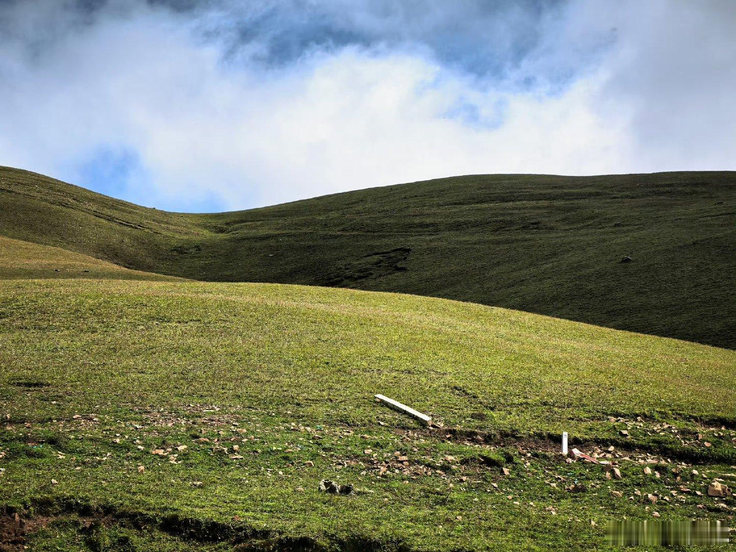 云南的阿勒泰会泽大海草山会泽大海草山的美，是那种能让人放下手机的美。 在这里，时