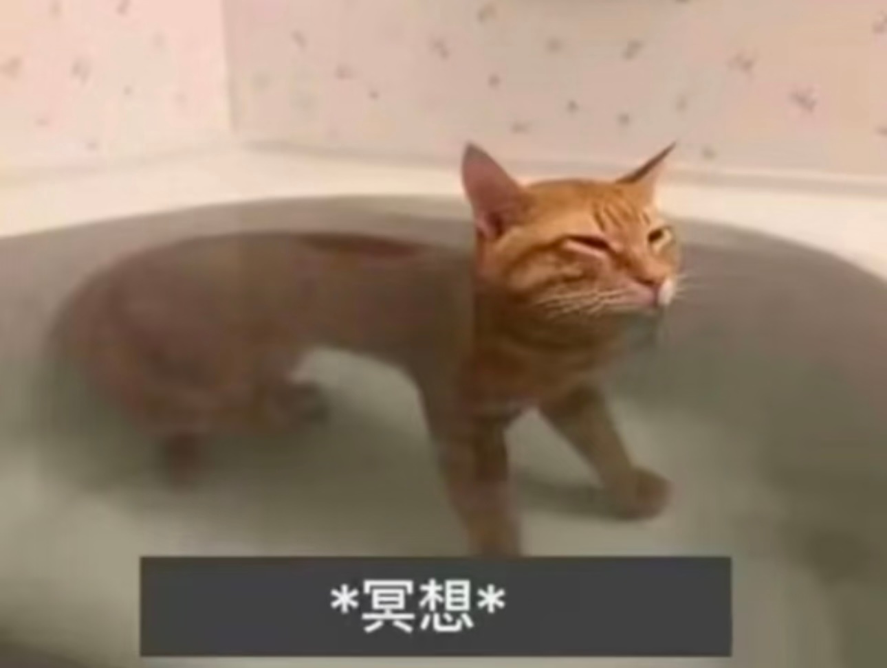 活到今天发现自己的抗压能力全靠健忘。 